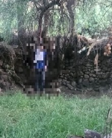Colgándose de árbol joven se quita la vida en Sañayca 